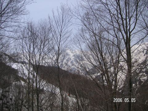 s_pict0114.jpg